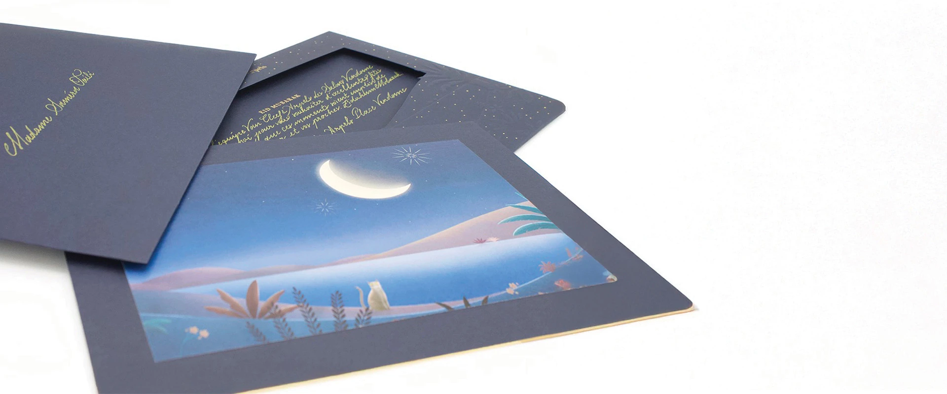 Calligraphe Graphiplus en action — geste artisanal d'excellence pour maisons de couture et de luxe