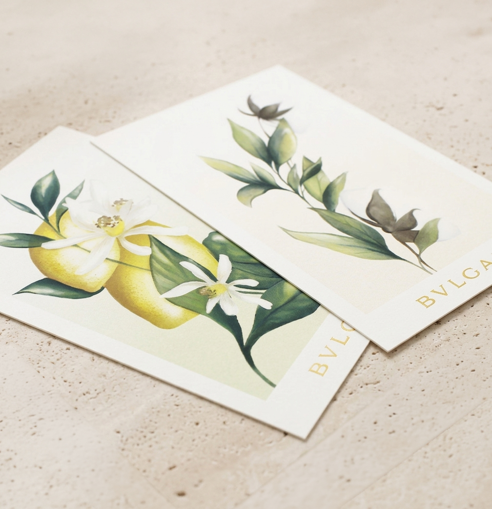 Studio de création Graphiplus — design éditorial et packaging luxe sur mesure