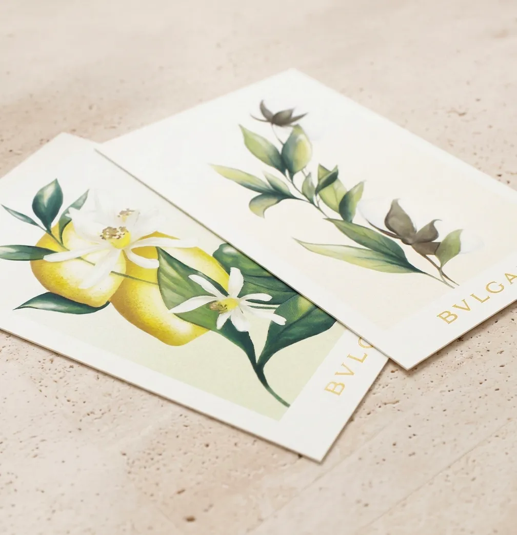 Studio de création Graphiplus — design éditorial et packaging luxe sur mesure